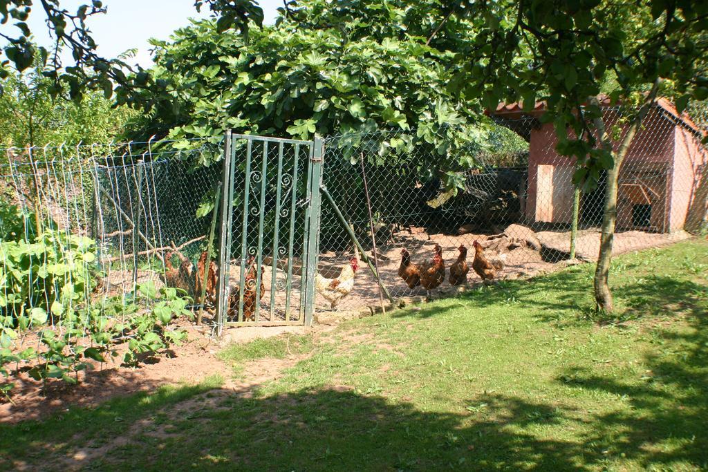 Fonte San Pedrín Casa de hóspedes Cajide Exterior foto